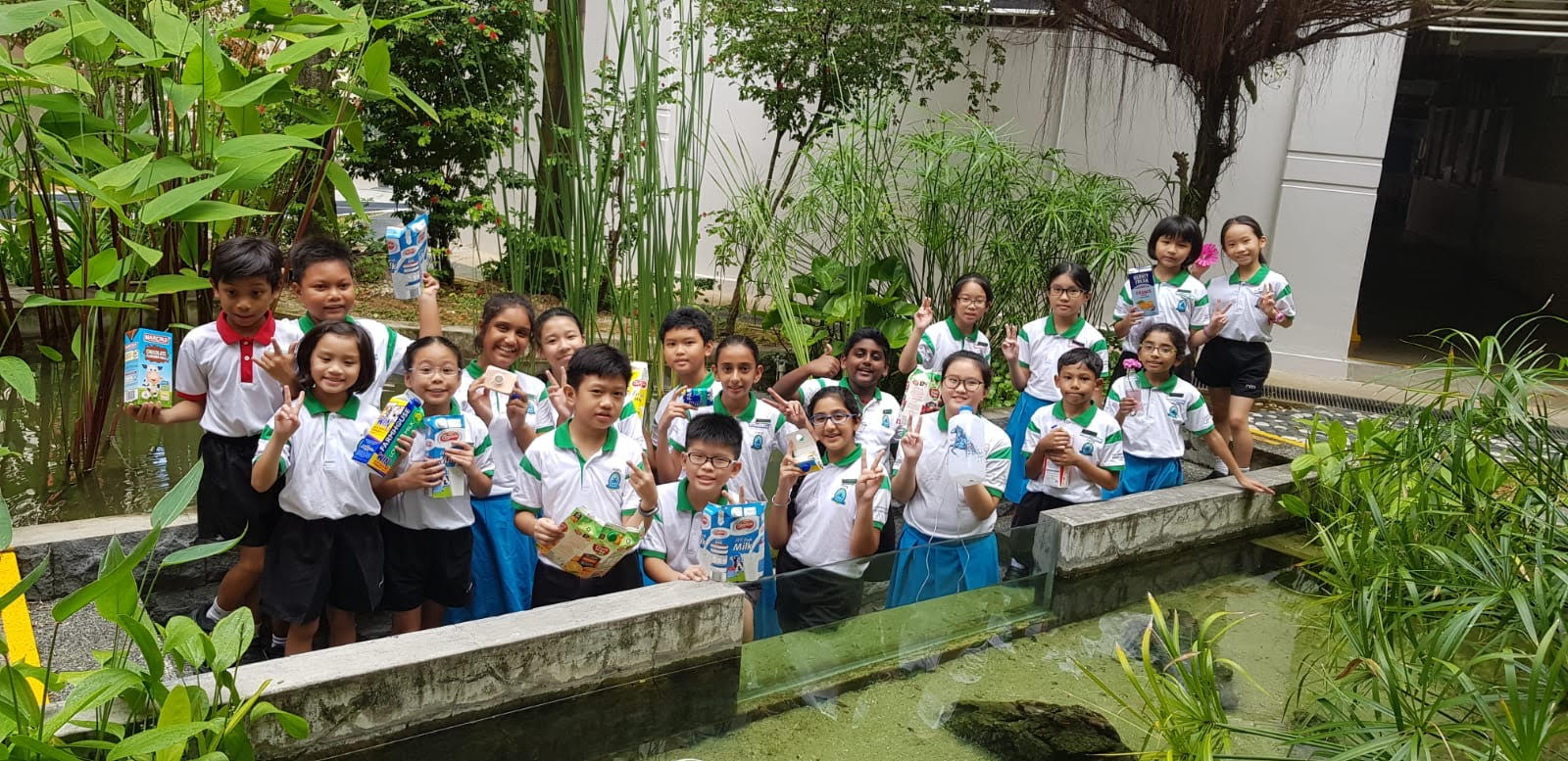 A group of school children in white and green uniforms hold up milk cartons outdoors near a pond with green plants.